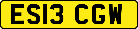 ES13CGW