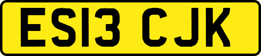 ES13CJK