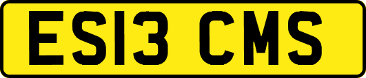 ES13CMS