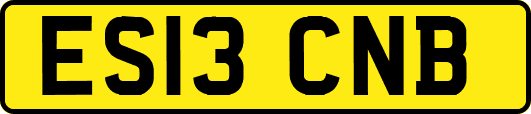 ES13CNB