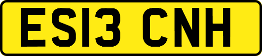 ES13CNH