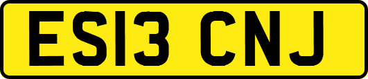 ES13CNJ