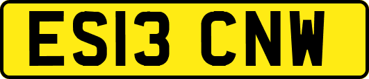 ES13CNW