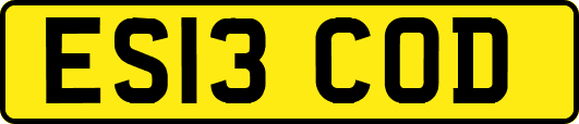 ES13COD