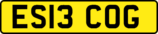 ES13COG