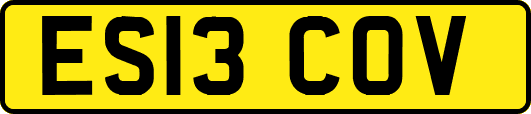 ES13COV
