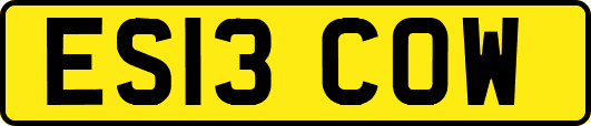 ES13COW