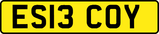 ES13COY