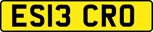 ES13CRO