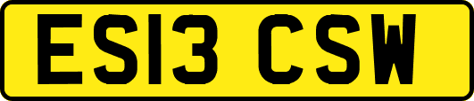 ES13CSW