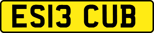 ES13CUB