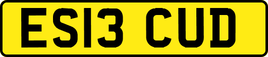 ES13CUD