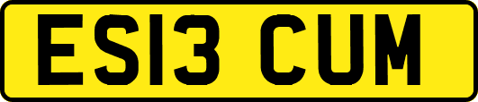ES13CUM
