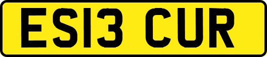 ES13CUR