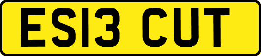ES13CUT