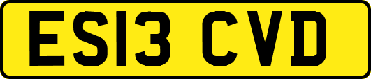 ES13CVD