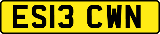 ES13CWN