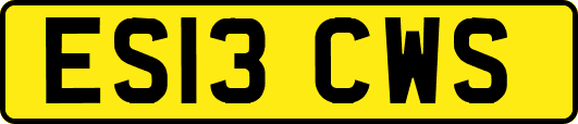 ES13CWS