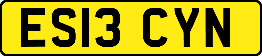 ES13CYN