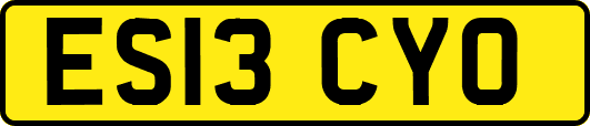 ES13CYO