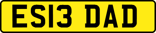 ES13DAD