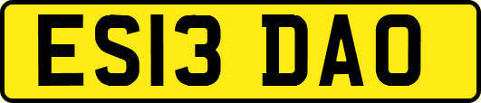 ES13DAO