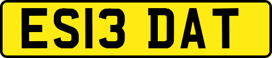ES13DAT