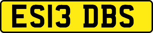 ES13DBS