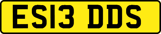 ES13DDS