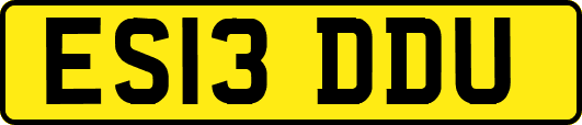ES13DDU