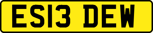 ES13DEW