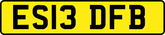 ES13DFB