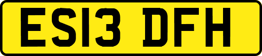ES13DFH