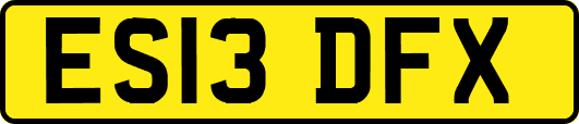ES13DFX