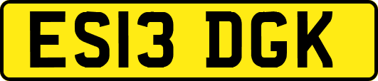 ES13DGK