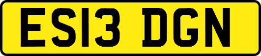 ES13DGN