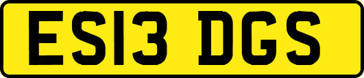 ES13DGS