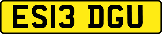 ES13DGU