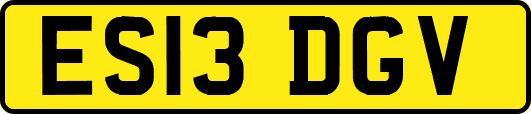 ES13DGV