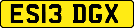 ES13DGX