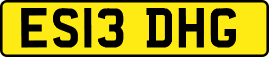 ES13DHG
