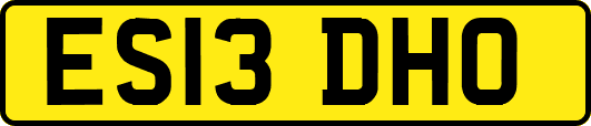 ES13DHO