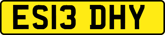 ES13DHY