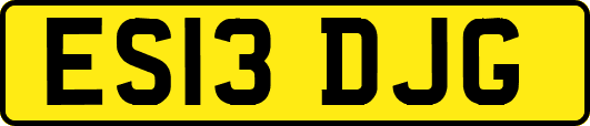 ES13DJG