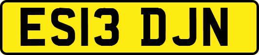 ES13DJN