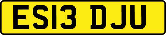 ES13DJU
