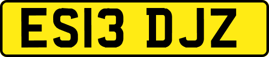 ES13DJZ