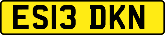 ES13DKN