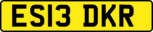 ES13DKR