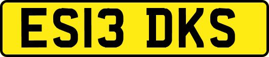 ES13DKS
